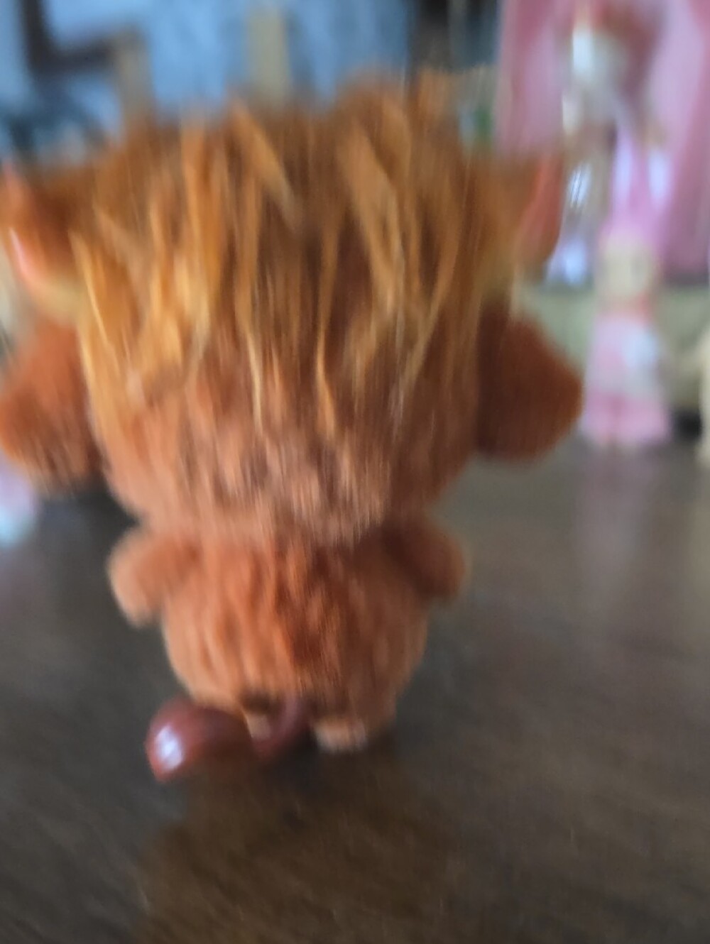 Sad Baby Star Box Highland Cow Figurine Authentic - Picture 6 of 9